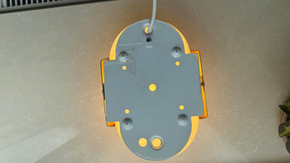 Murano Seashell wall lamp